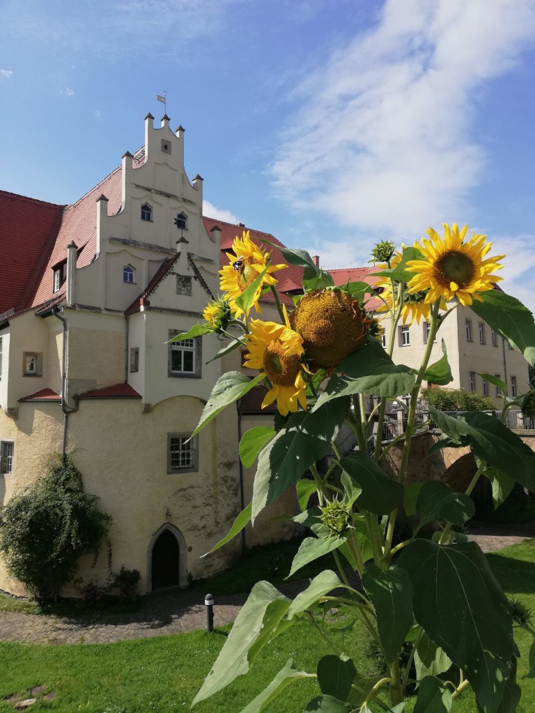 Schloss Schleinitz (4)