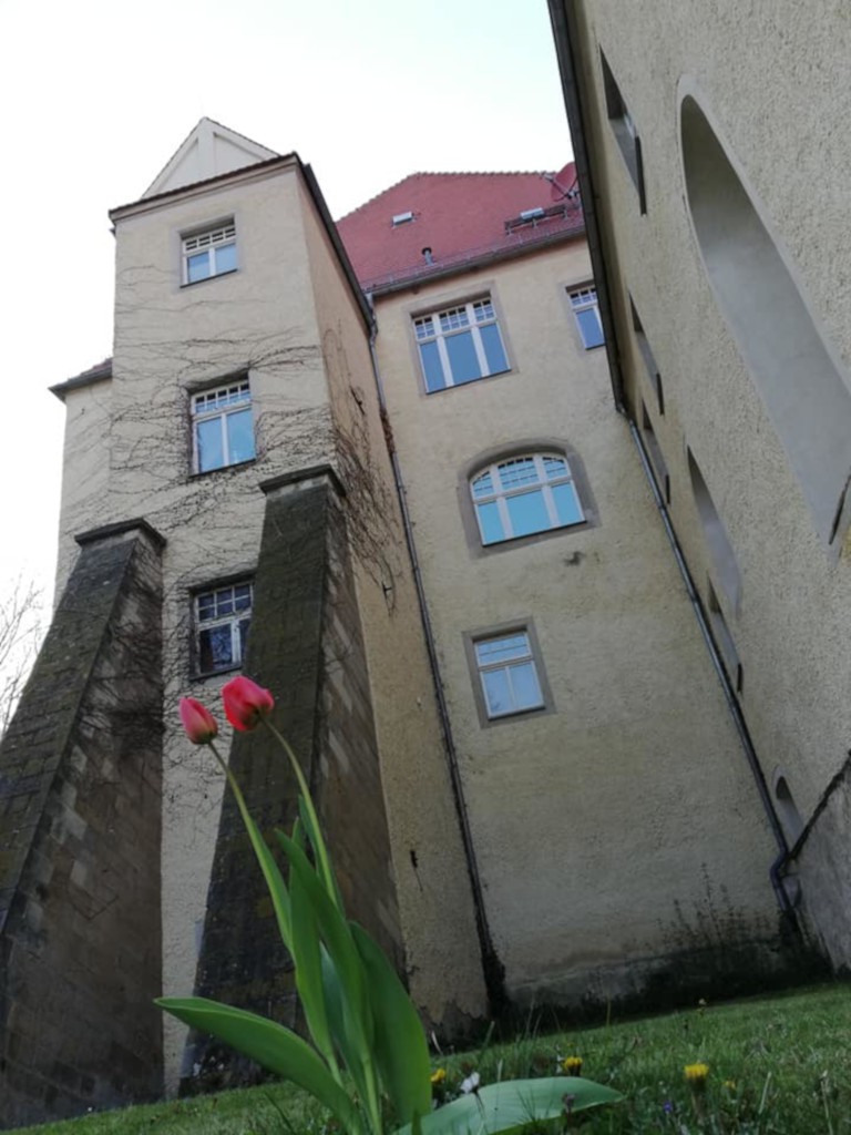 Schloss Schleinitz (3)