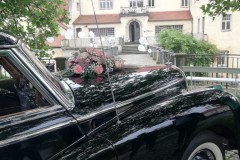 Hochzeit (3)