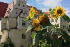 Schloss Schleinitz (4)